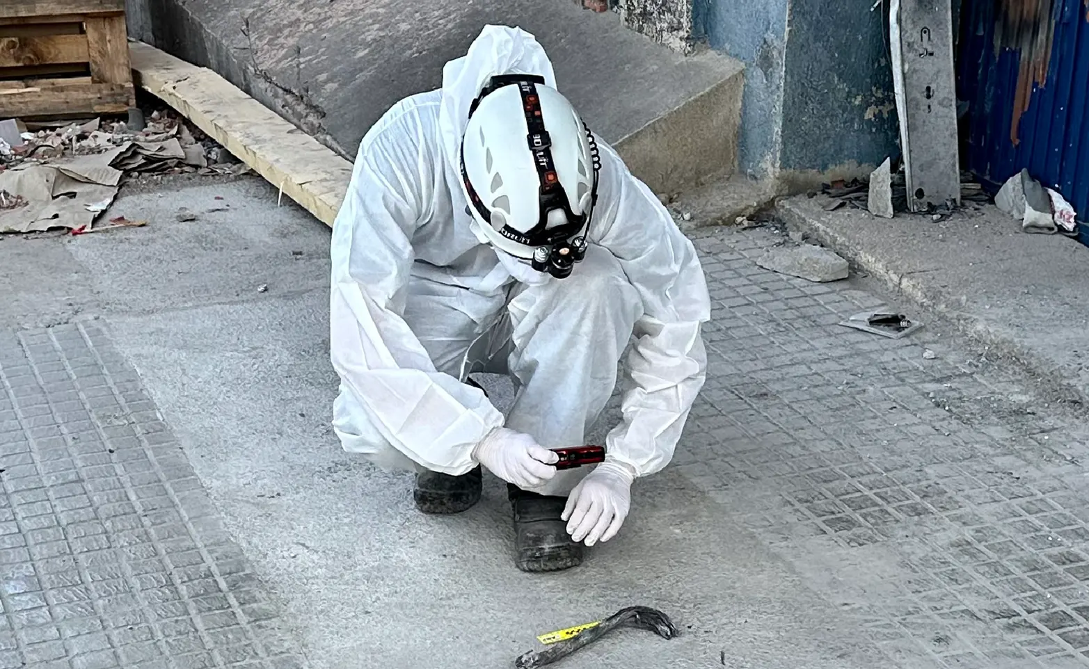 Sector asegurador